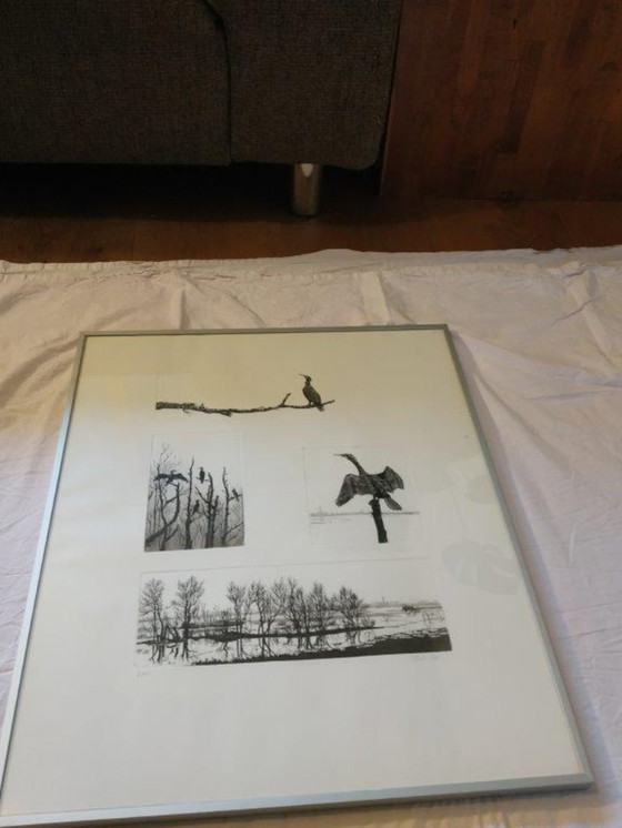 Image 1 of Ans van der Zweep-Heijmen Etching compilation - Cormorants in the Gelderland landscape