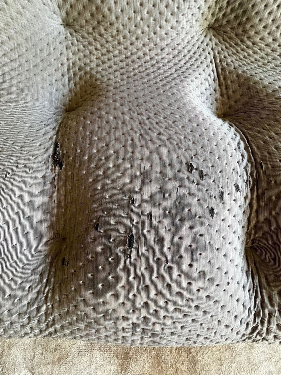 Image 1 of Roseta de línea Pluma