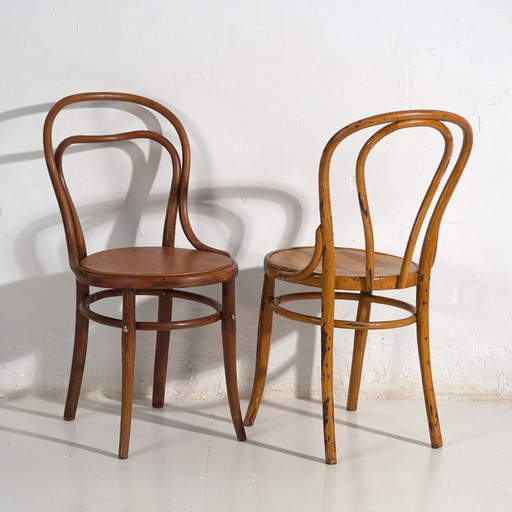 Chaises Thonet antiques (années 1920). Lot de 2 pièces #6