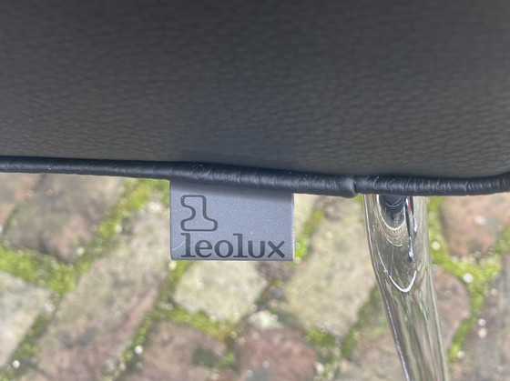 Image 1 of 8 Leolux Spring Butterfly stoelen 