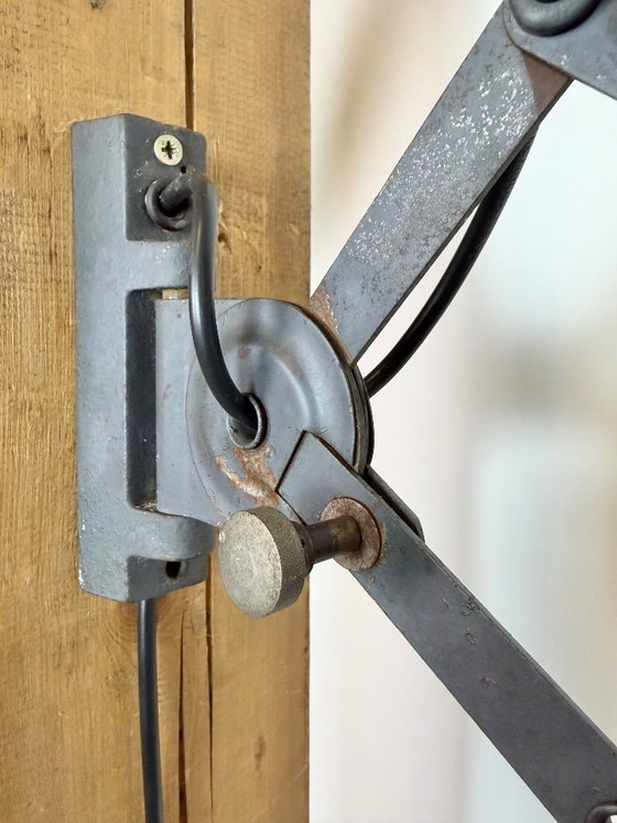 Image 1 of Grijze industriële wandlamp met flexibele arm van Elektroinstala, jaren 60.
