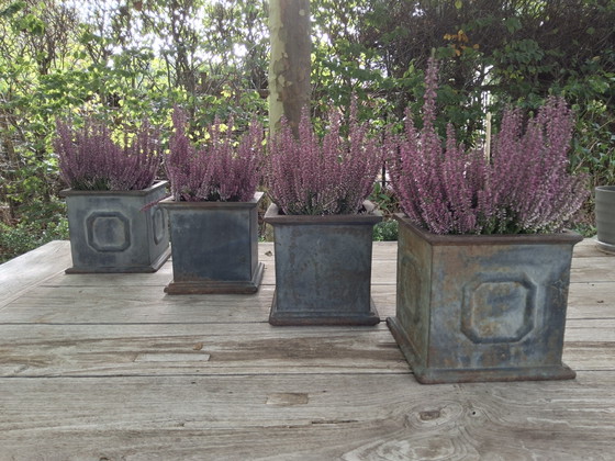 4 französische quadratische Pflanzkübel aus Gusseisen mit schöner Patina – Cast Iron (photo 5 of 6)