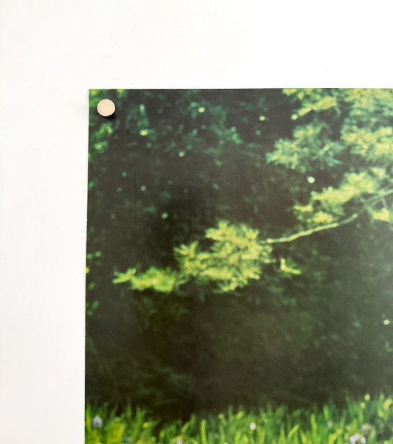 Image 1 of 🛫 Fly to Japan — Inner Garden of Heian Shrine, Kyoto – c.1965 – Original Poster by Japan Air Lines |  100.5 × 62.5 cm | Japan