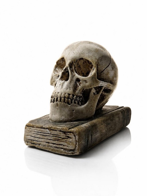 Ancien Memento Mori en plâtre, crâne sur livre, curiosité fin XIXe début XXe