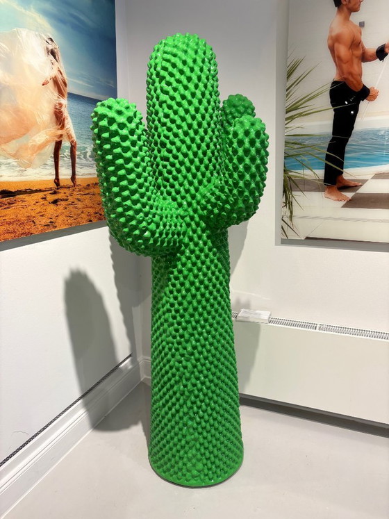 Image 1 of Cactus Gufra verde