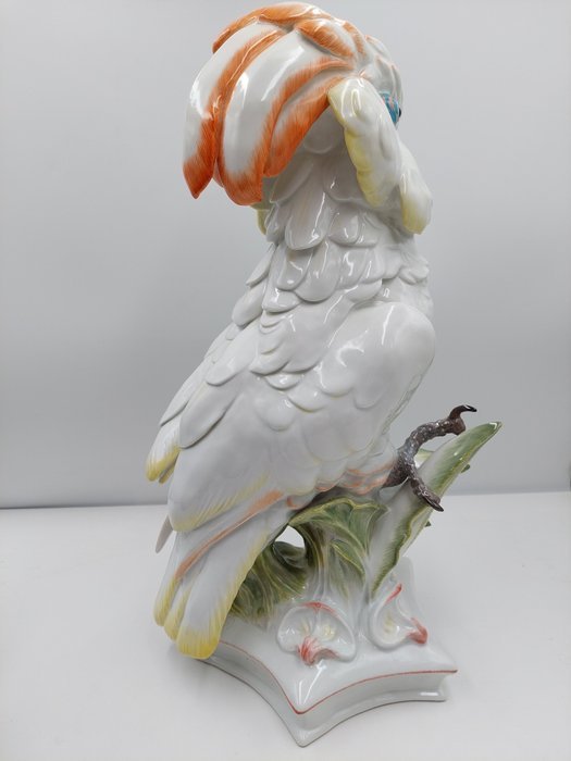 Image 1 of Meissen - Paul Walther - Statue, Cockatoo - 47 cm - Porcelain
