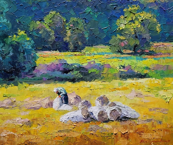 Image 1 of Hay for the Winter