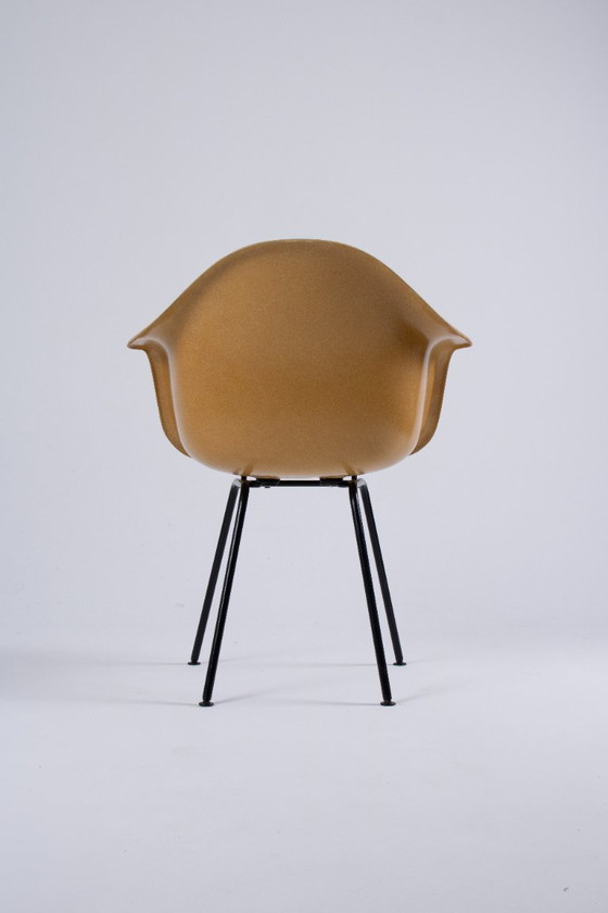 Image 1 of DAX Eames en fibre de verre – Light Ocre – Herman Miller / Vitra – circa 1965-1975