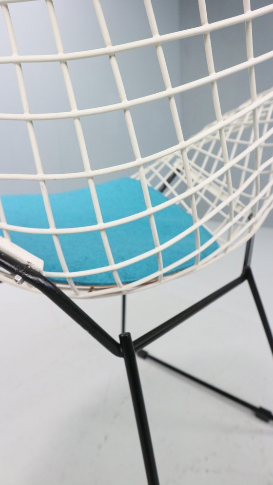 Image 1 of Silla Diamond de Harry Bertoia en metal blanco y negro y nuevo asiento azul años 60