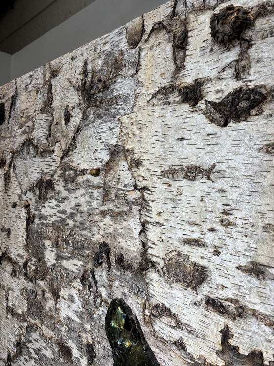 Image 1 of Librería de corteza de abedul de Sophie Gallardo y George Guillaume Cassan