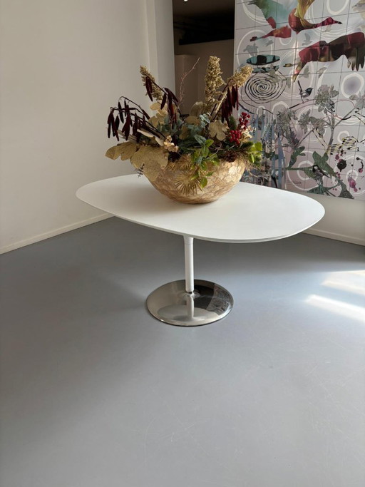 Arper Dizzie oval table