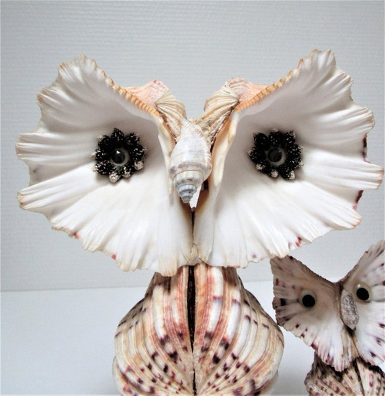 Image 1 of due gufi scultura vintage in conchiglia