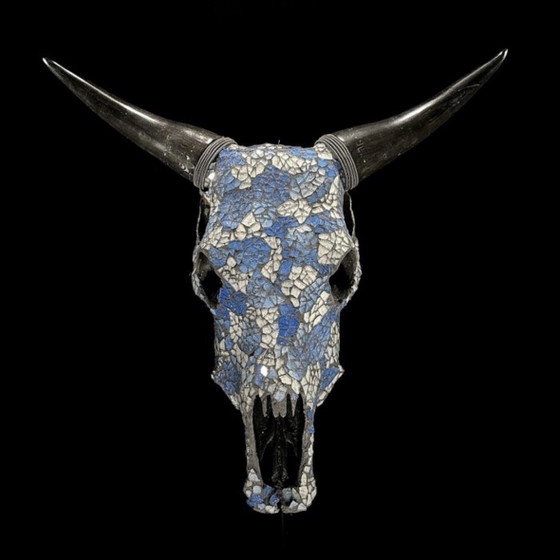 Image 1 of Véritable crâne de vache indonésien avec mosaïque 