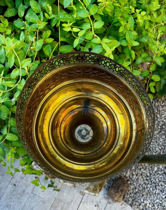 Grande Vasi per piante leone in ottone su supporto in stile barocco Art Nouveau. – Brass, Barok (photo 2 of 6)