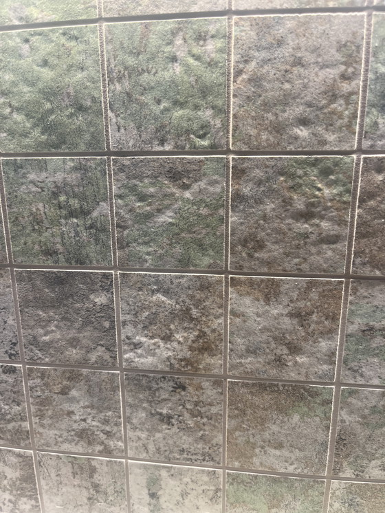 Image 1 of Baldosas de la marca Aparici, serie Evoke