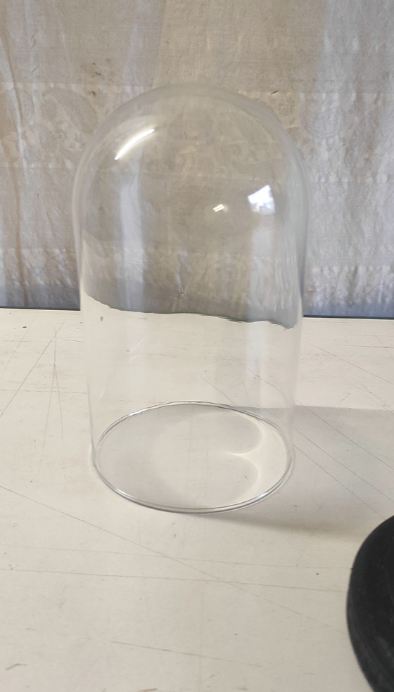 Image 1 of Globe en verre et socle en bois noir - mid. XXeme 