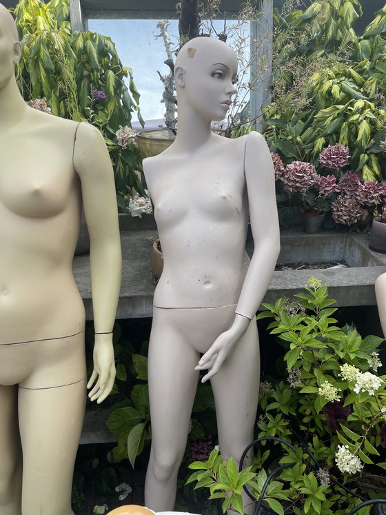 Image 1 of 6 x Mannequins Together € 75.-