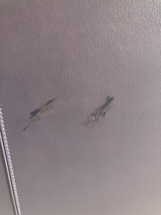 Image 1 of Canapé 2 places Leolux Bora Beta, 2x, magnifique couleur aubergine