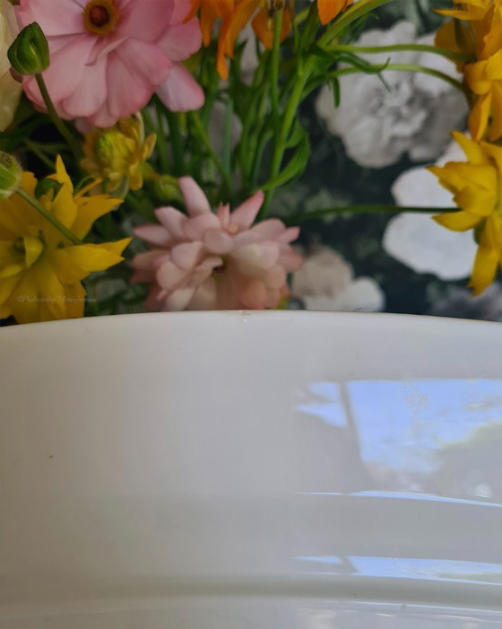 Image 1 of 1x fuente de servir Villeroy & Boch Nanking de porcelana Bone China