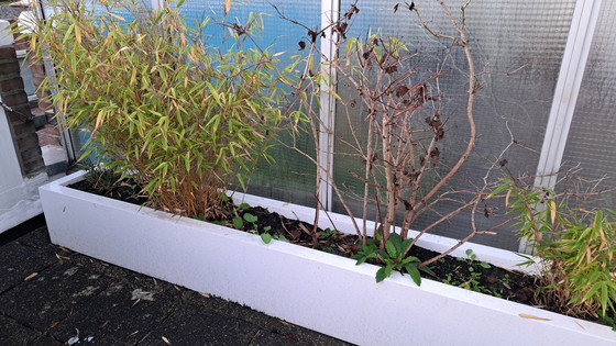 Image 1 of 2 fioriere Ibiza