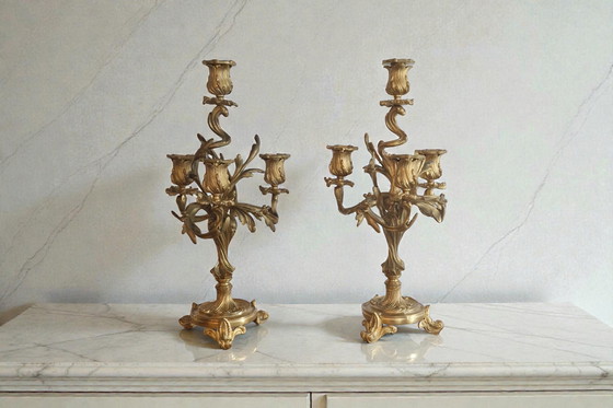Image 1 of Pair of gilt bronze candelabra – Louis XV style – 19th century
