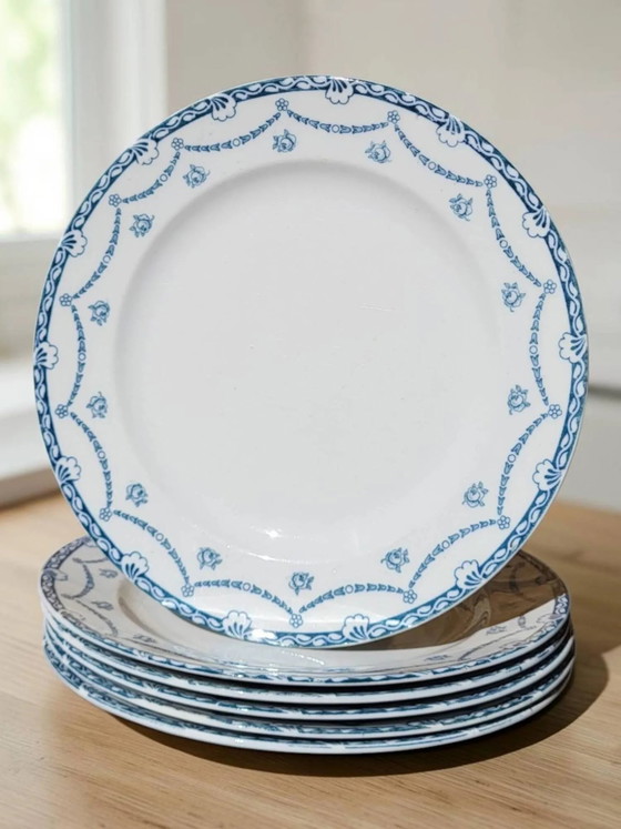 6 piatti in terraglia inglese "Cheltenham" — F. Winkle & Co – Stoviglie, Porcelain, Art Nouveau (photo 8 of 8)