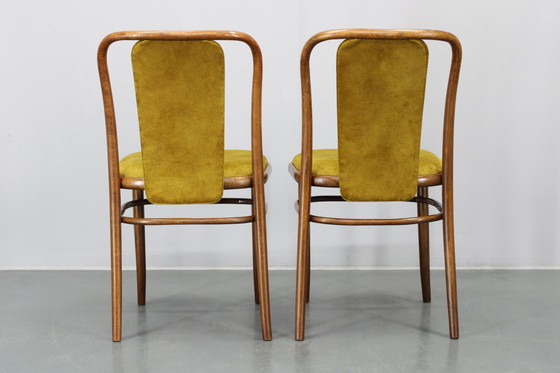 Image 1 of Juego de cuatro sillas de comedor de madera curvada de haya restauradas de la década de 1970, de TON, Checoslovaquia