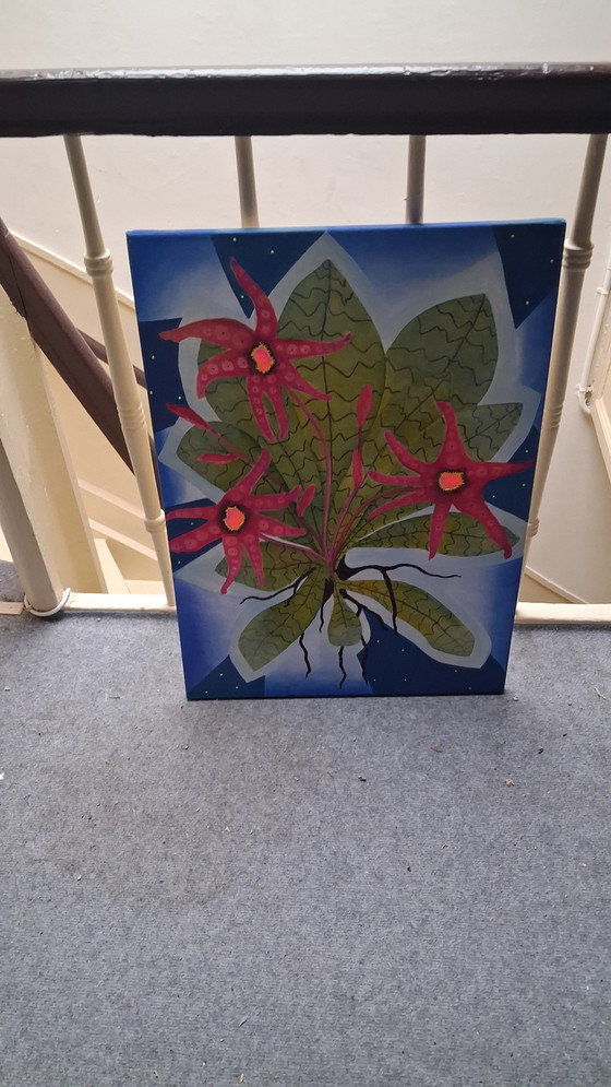 Image 1 of Stella Maris, star of the sea