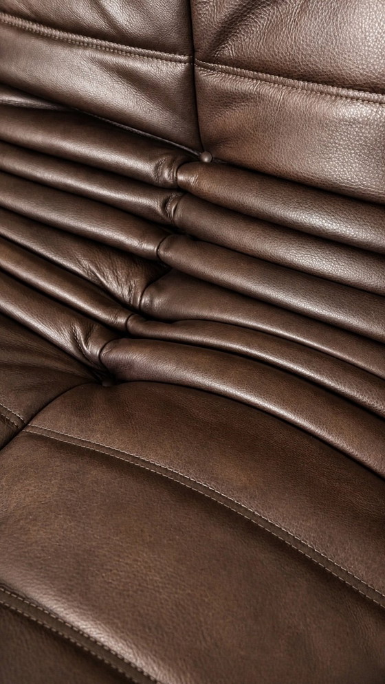 Image 1 of Zweisitzer-Sofas von Michel Ducaroy / Ligne Roset, braunes Leder