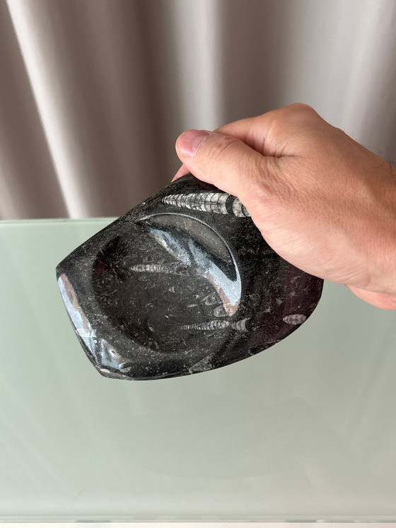 Vintage Black Orthoceras Fossil Stone Dish, Polished Natural Stone, Bowls, Marble (photo 6 of 7)
