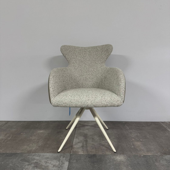 Ensemble Nio de 4 – Bert Plantagie, Chaises de salle à manger, Textile, Modern (photo 3 of 4)