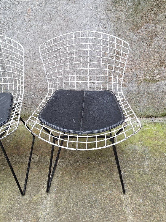 Image 1 of Set van 4 draadstoelen van Harry Bertoia, jaren 60.