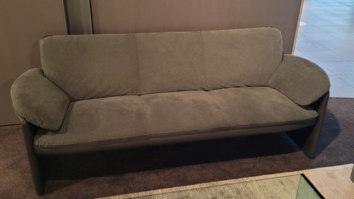 Évidence Leolux Evidence Catalpa 3-seater sofa