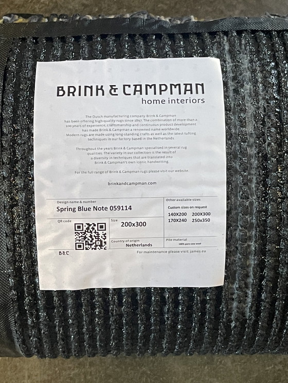 Image 1 of Tapis de printemps Brink en Campman Blue Note NEUF