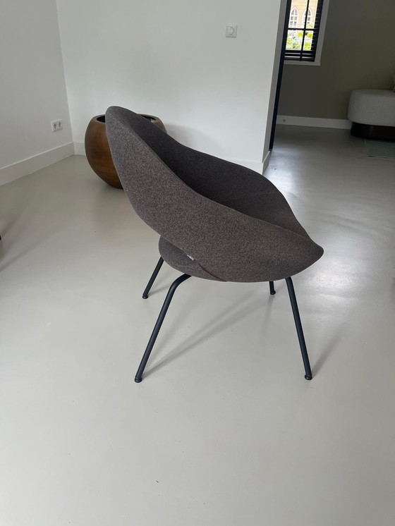 Image 1 of 6x Artifort Shark Eetkamerstoel 