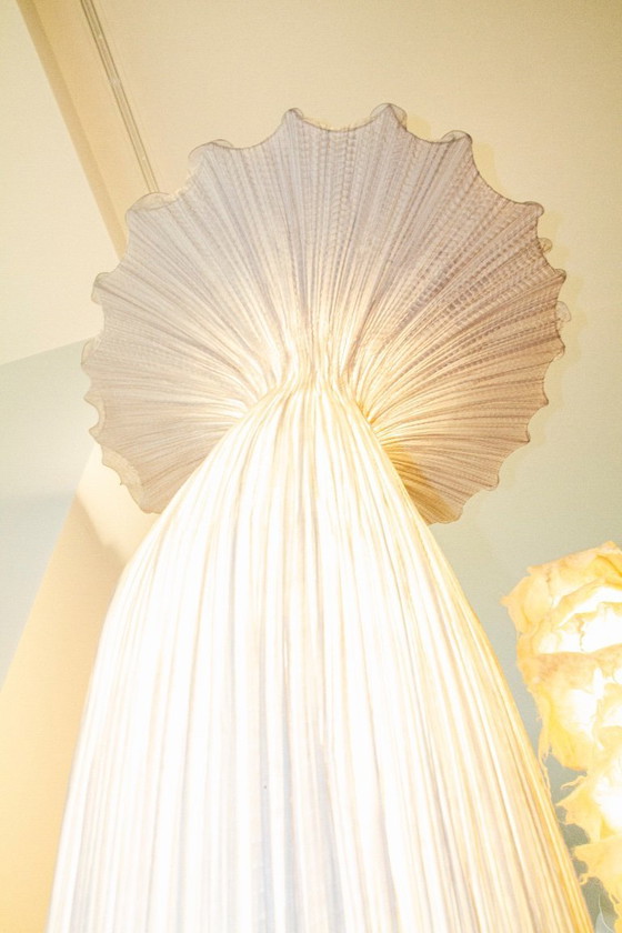 Image 1 of Morning Glory Floor Lamp by Aqua Creations