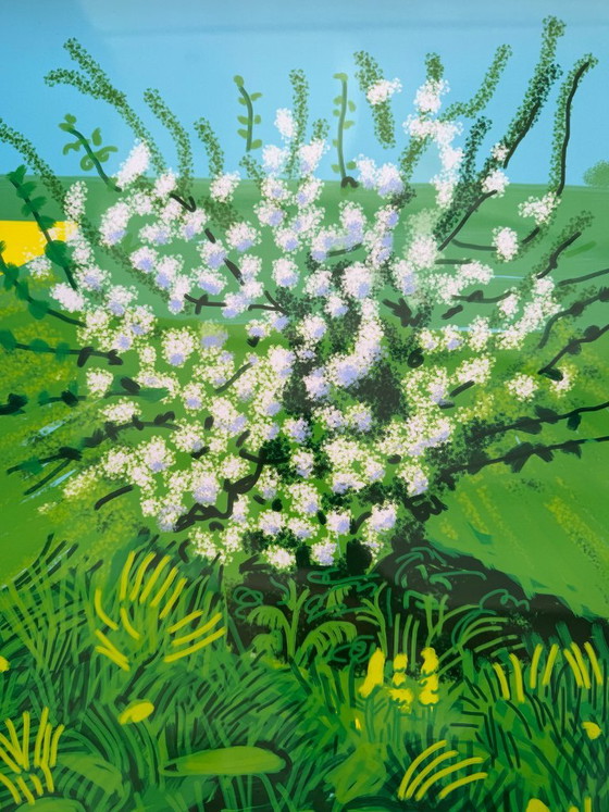 David Hockney (1937-2026), De komst van de lente in Woldgate, East Yorkshire in 2011. Copyright David (photo 6 of 6)