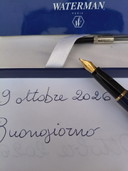 Waterman Expert Blue/Gold Fountain Pen