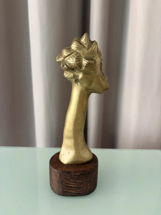 Buste féminin expressif en bronze sur socle en bois exotique – Sculptures, Brass (photo 3 of 7)