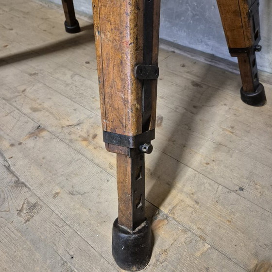 Image 1 of Vintage turnpaard, Tsjecho-Slowakije, jaren 60