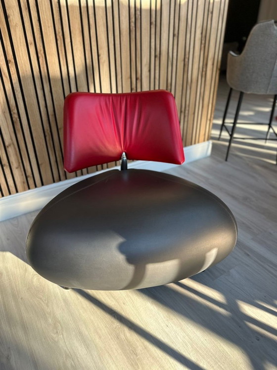 Image 1 of Leolux Pallone