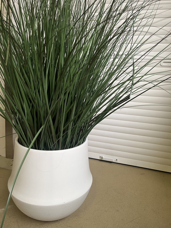 Image 1 of Plante artificielle avec pot blanc