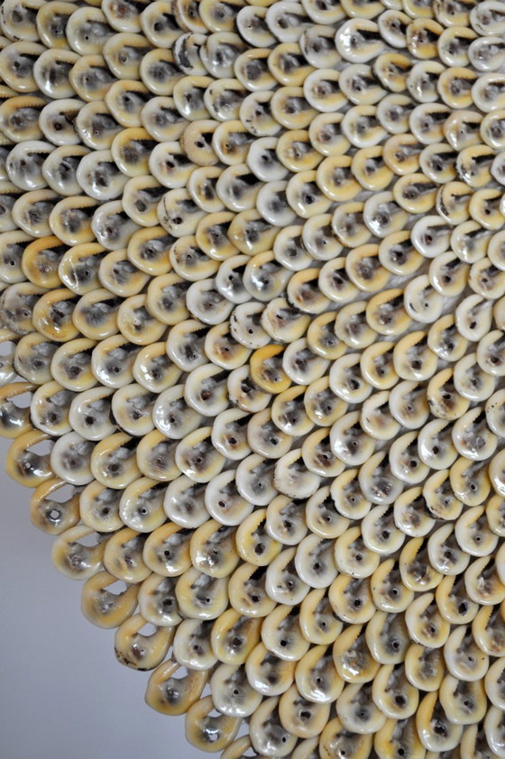 Image 1 of Juego de 2 collares de conchas NASSA (ref 3188)