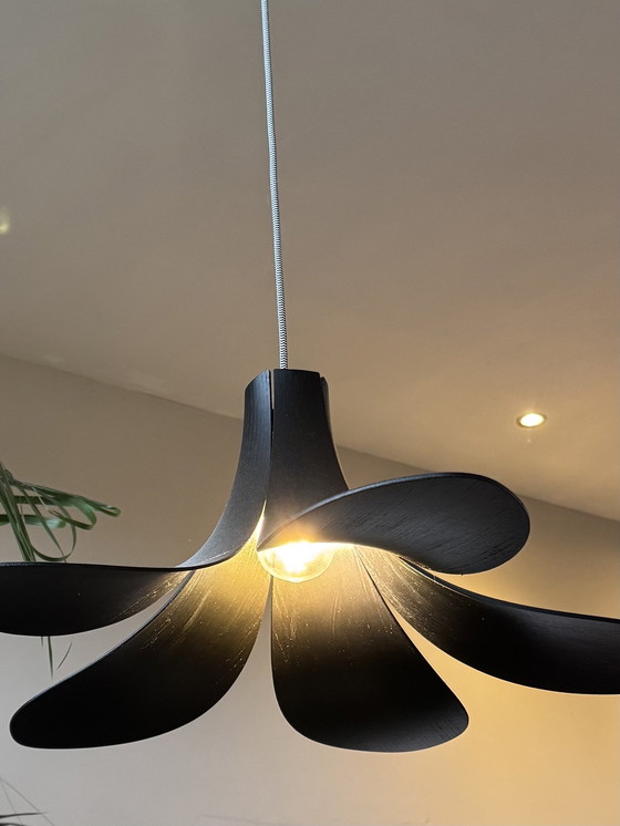 Image 1 of Umage Jazz plafondlamp Zwart eiken