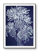 Linocut di prugnolo - Stampa d'arte botanica A3
