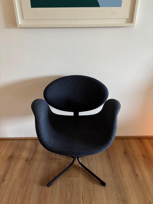 Sedia Artifort Little Tulip