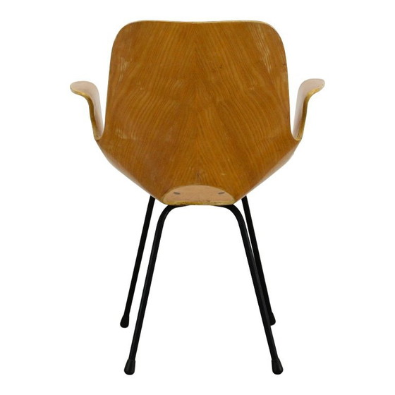 Image 1 of sedia con braccioli in legno curvato di faggio "medea" di vittorio nobili per fratelli tagliabue, italia, 1956