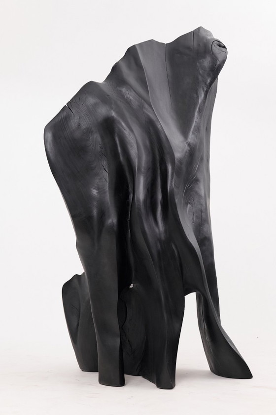 Image 1 of Fauteuil trône en bois noir carbonisé aux formes organiques par Logniture