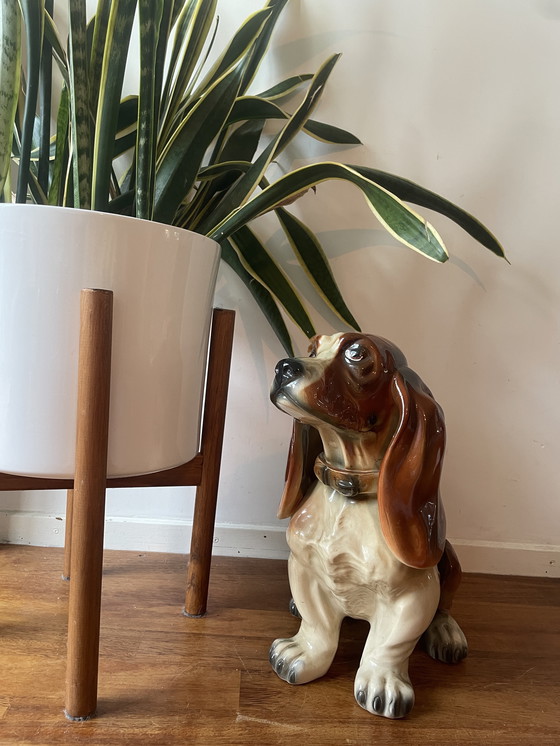 Image 1 of Beagle in ceramica. Cane in ceramica di Jema Holland