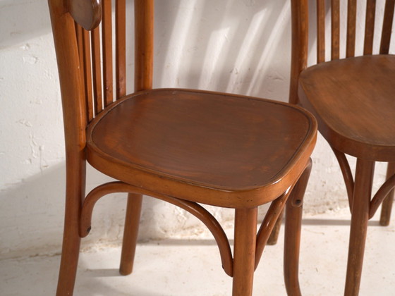 Antique armchairs in TON bentwood – Czechoslovakia, circa 1960 #3 (photo 19 of 40)